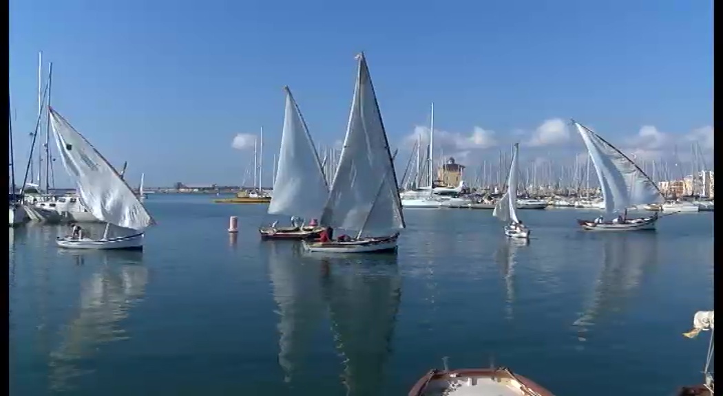 La vela latina en Torrevieja